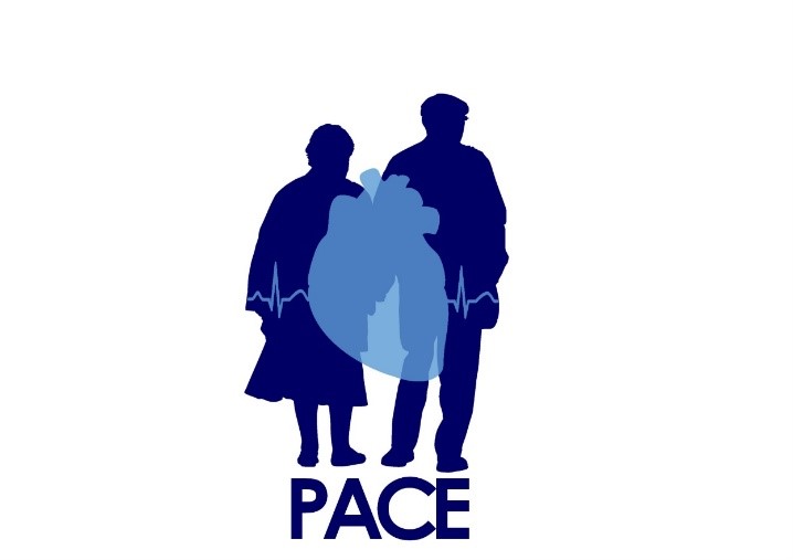 Logo projektu PACE