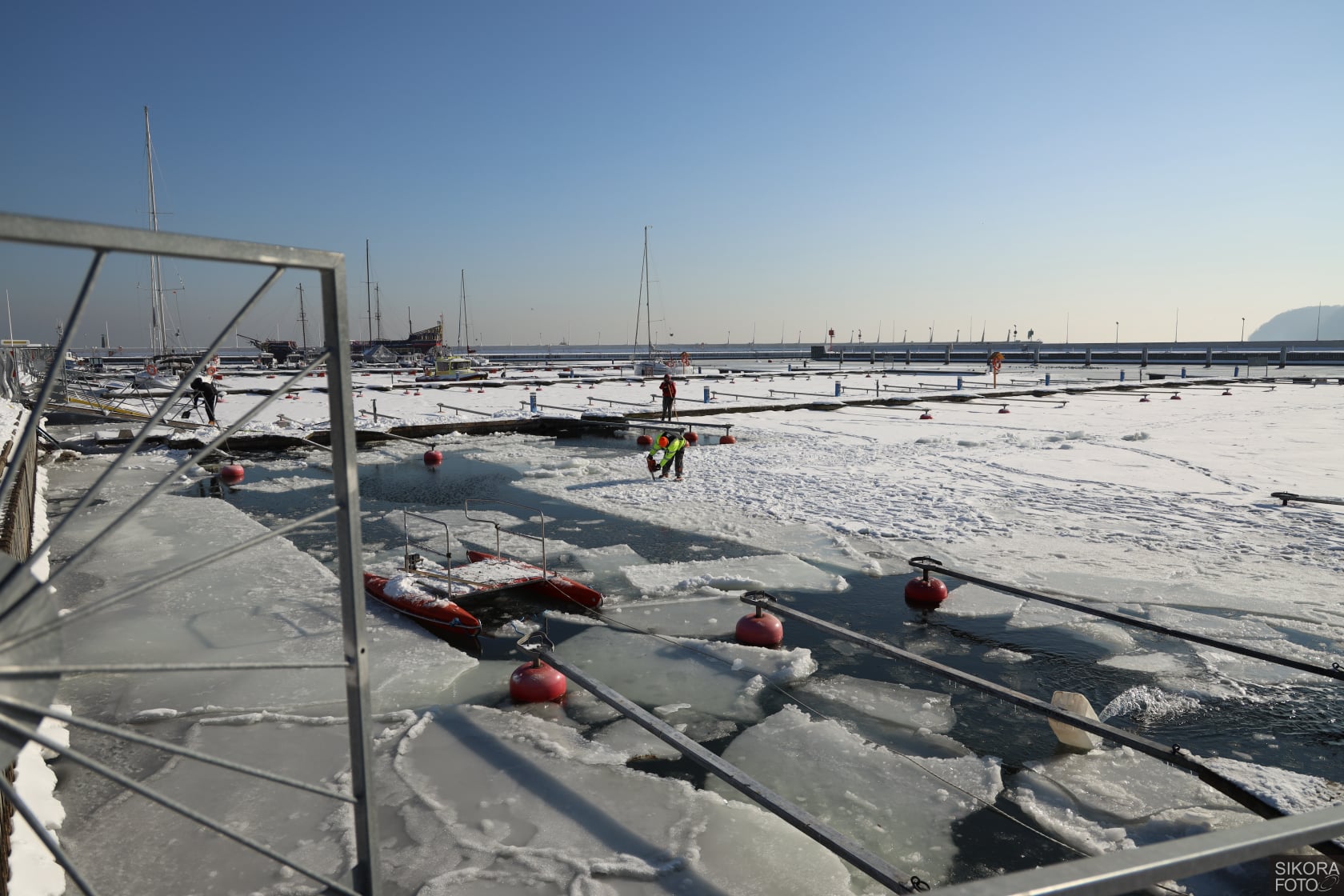 Gdynia Marina skuta lodem podczas Gdynia Winter Swimming Cup 2021